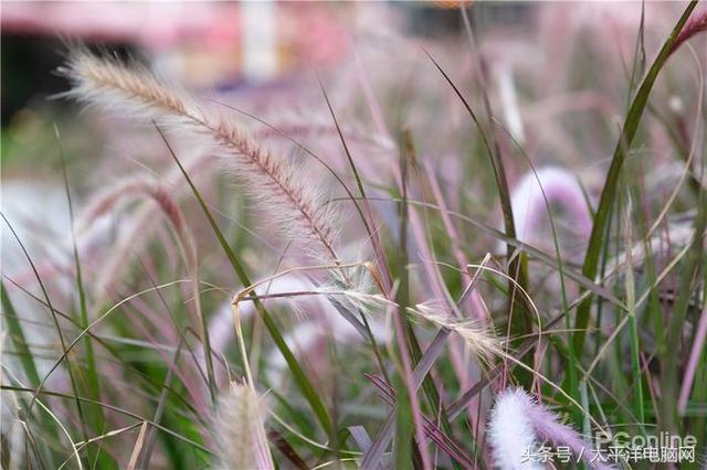 富士数码相机官网，富士胶片相机（60P,在座的APS-C都不是对手）