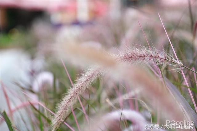 富士数码相机官网，富士胶片相机（60P,在座的APS-C都不是对手）