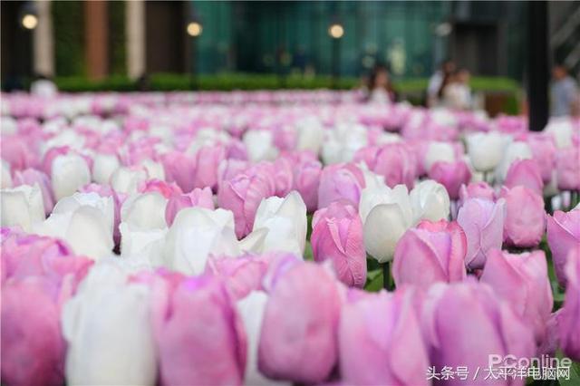 富士数码相机官网，富士胶片相机（60P,在座的APS-C都不是对手）