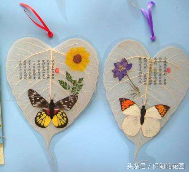 如何制作书签需要什么材料，书签要怎么制作（用洗衣粉制作叶脉书签）