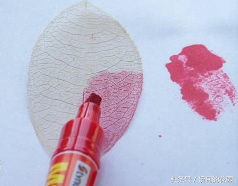 如何制作书签需要什么材料，书签要怎么制作（用洗衣粉制作叶脉书签）