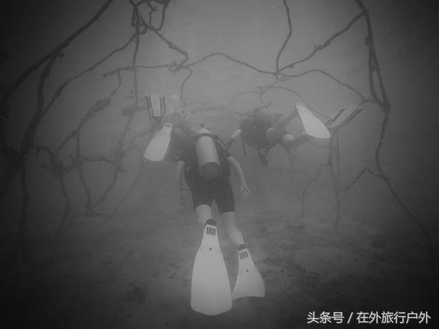 潜泳怎么潜下去，怎么潜到水下游泳（“潜水”入门级攻略）