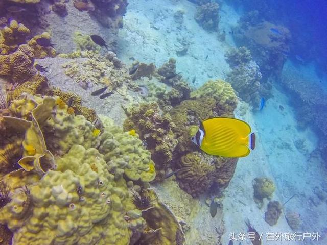 潜泳怎么潜下去，怎么潜到水下游泳（“潜水”入门级攻略）