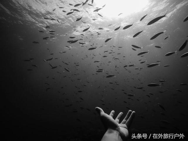 潜泳怎么潜下去，怎么潜到水下游泳（“潜水”入门级攻略）