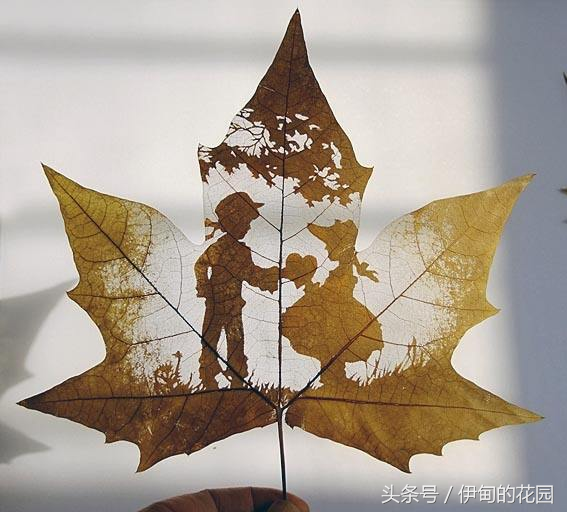 如何制作书签需要什么材料，书签要怎么制作（用洗衣粉制作叶脉书签）