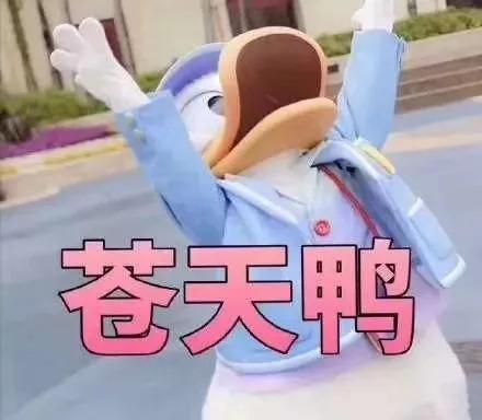 微信拼图功能组合图片，微信朋友圈图片如何拼图（微信后台终于可以拼图了）