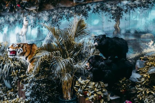 贵州阳朔游必去景点旅游攻略，阳朔旅游攻略必去景点（来阳朔怎么能不去桂林千古情景区）