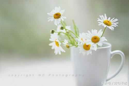 一句话签名 励志，最新版2022年励志签名说说（一句话励志经典的个性签名）