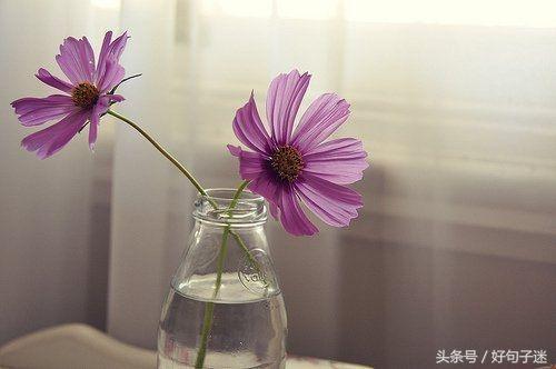 一句话签名 励志，最新版2022年励志签名说说（一句话励志经典的个性签名）