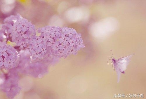 一句话签名 励志，最新版2022年励志签名说说（一句话励志经典的个性签名）