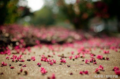 一句话签名 励志，最新版2022年励志签名说说（一句话励志经典的个性签名）