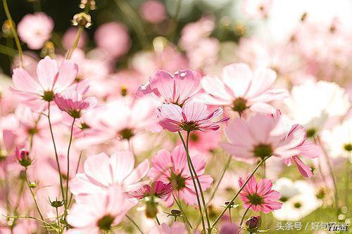 一句话签名 励志，最新版2022年励志签名说说（一句话励志经典的个性签名）