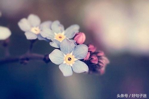 一句话签名 励志，最新版2022年励志签名说说（一句话励志经典的个性签名）