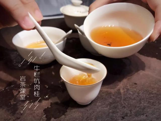 牛栏坑肉桂是什么茶类，牛栏坑肉桂是什么茶类蓝盒子（请放过牛栏坑肉桂）