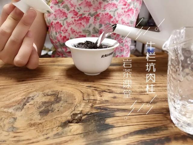 牛栏坑肉桂是什么茶类，牛栏坑肉桂是什么茶类蓝盒子（请放过牛栏坑肉桂）