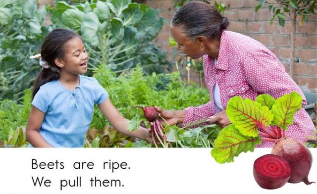 Ripe（成熟）网名，Ripe（成熟）（秋天的果实《Fall）