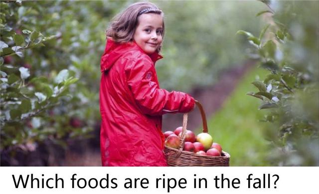 Ripe（成熟）网名，Ripe（成熟）（秋天的果实《Fall）