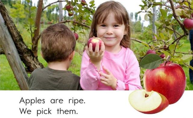 Ripe（成熟）网名，Ripe（成熟）（秋天的果实《Fall）