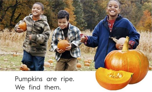 Ripe（成熟）网名，Ripe（成熟）（秋天的果实《Fall）