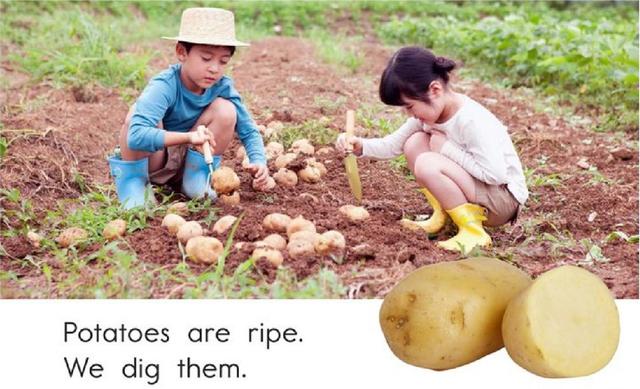 Ripe（成熟）网名，Ripe（成熟）（秋天的果实《Fall）