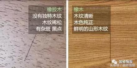 橡木相关知识，记得收藏这篇文章备用