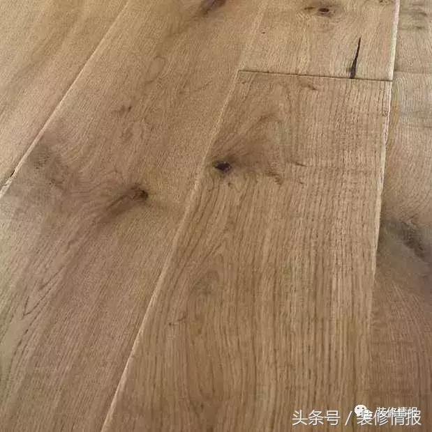 橡木相关知识，记得收藏这篇文章备用