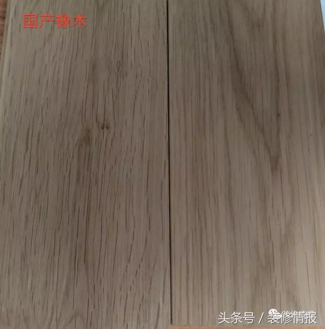 橡木相关知识，记得收藏这篇文章备用