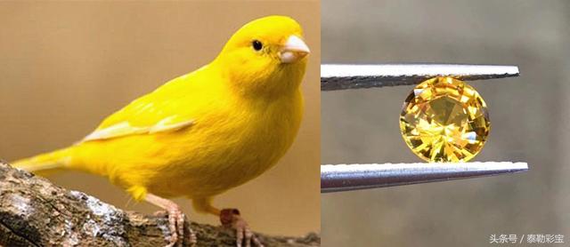 蓝宝石的寓意，蓝宝石的寓意和话术（您知道黄色蓝宝石值得收藏吗）