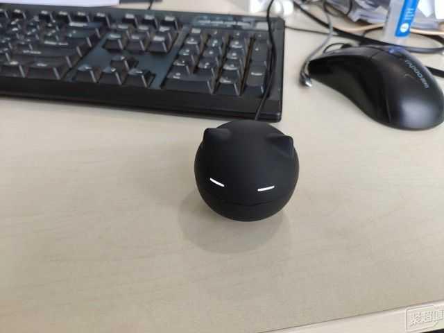 耳机lr哪边是左右，耳机l和r哪边是左哪边是右（AS不倒翁真无线音乐耳机）