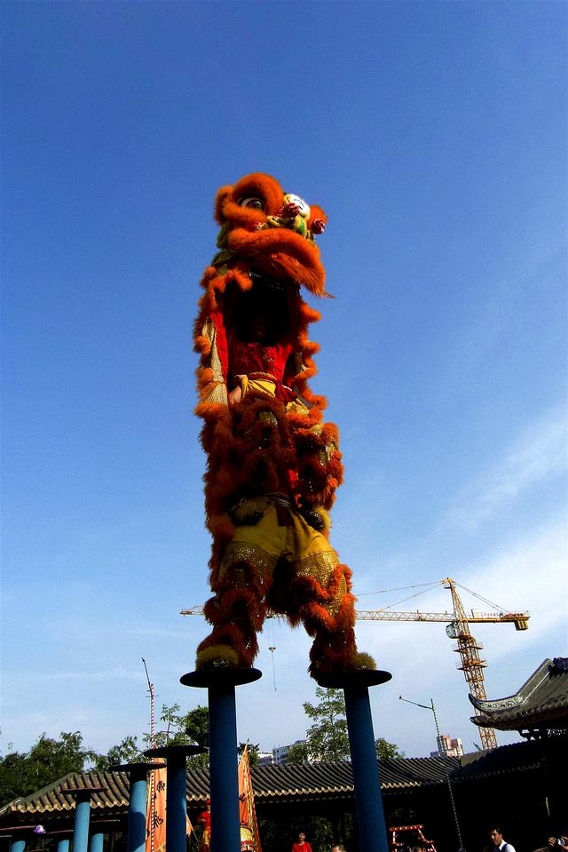 极具特色的佛山舞狮文化，佛山舞狮文化介绍（广东佛山祖庙中的民族传统体育娱乐活动——舞狮）