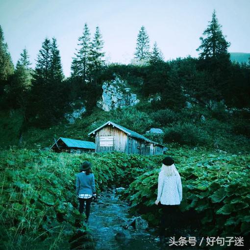 成长语录，成长语录正能量（关于人生成长感悟的句子）