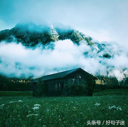 成长语录，成长语录正能量（关于人生成长感悟的句子）