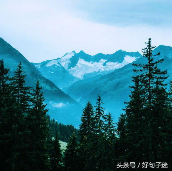 成长语录，成长语录正能量（关于人生成长感悟的句子）