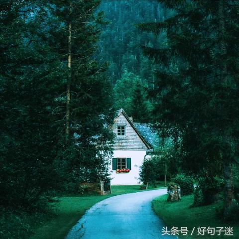 成长语录，成长语录正能量（关于人生成长感悟的句子）