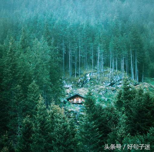 成长语录，成长语录正能量（关于人生成长感悟的句子）