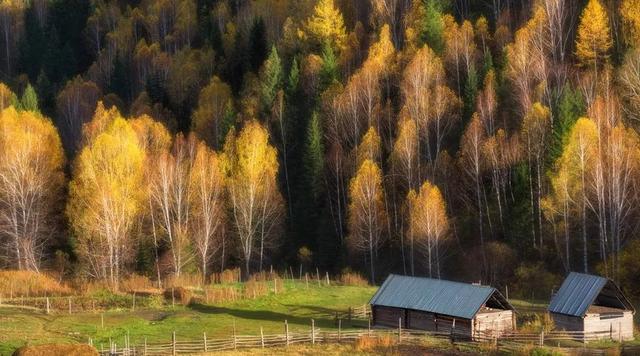 带秋字的四字成语，含有带秋字的成语（一波与“秋”相关的成语）