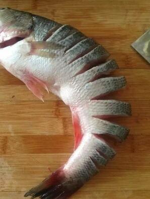 圖片[5]-【清蒸鱸魚】做法步驟圖 肥美鮮嫩 小孩都搶著吃-起舞食譜網