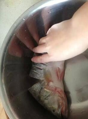 圖片[6]-【清蒸鱸魚】做法步驟圖 肥美鮮嫩 小孩都搶著吃-起舞食譜網