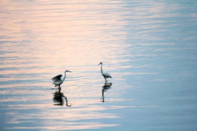 形容美玉的成语，形容玉的高雅的词语（凌波微步、镜花水月、倾国倾城）