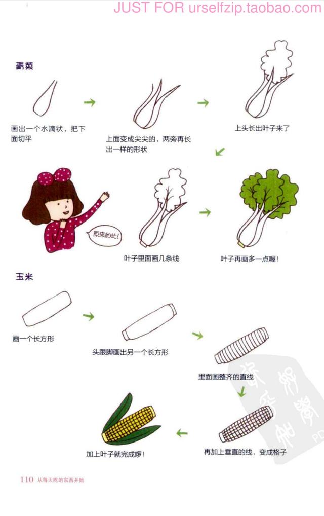 蔬菜水果简笔画，50种蔬菜简笔画带颜色 蔬菜水果（简笔画水果蔬菜教程）