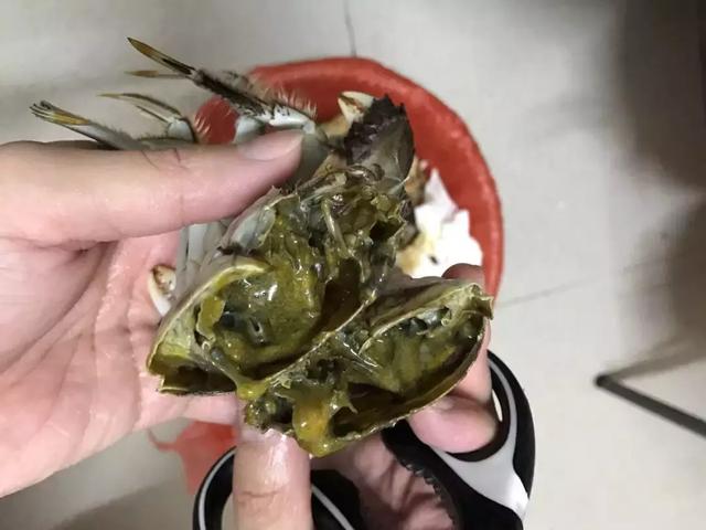 螃蟹食物相克大全图片，螃蟹相宜相克食物表（一种让你身体惹上虫）