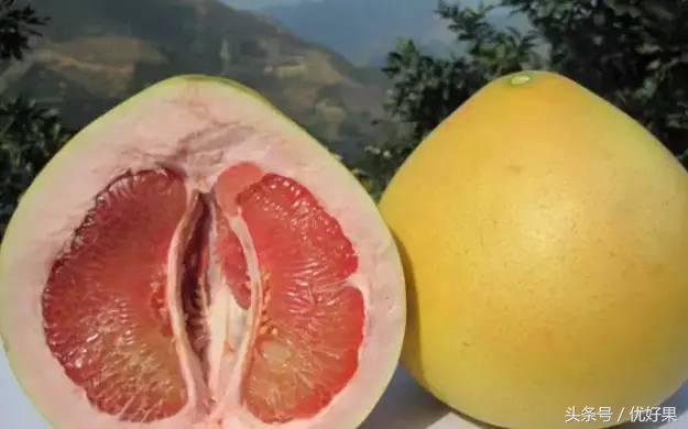 黄心柚子有什么功效，又到家乡蜜柚成熟时