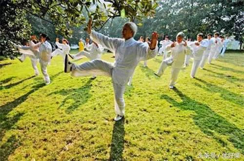 黄心柚子有什么功效，又到家乡蜜柚成熟时