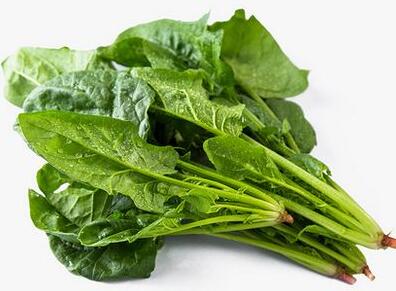 【蝦仁炒菠菜】做法步驟圖 補鐵促消化-起舞食譜網