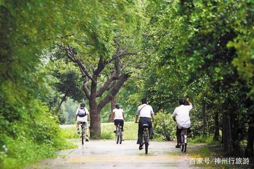 白水寨旅游攻略，增城白水寨旅游攻略（去广州白水寨森林公园）