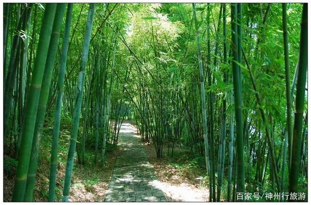 白水寨旅游攻略，增城白水寨旅游攻略（去广州白水寨森林公园）