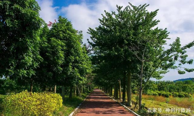 白水寨旅游攻略，增城白水寨旅游攻略（去广州白水寨森林公园）