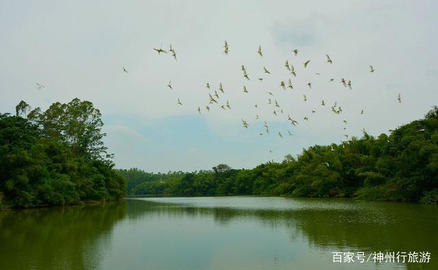白水寨旅游攻略，增城白水寨旅游攻略（去广州白水寨森林公园）