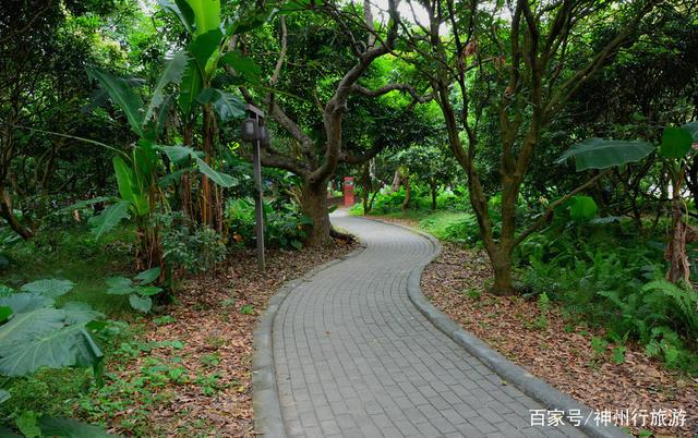 白水寨旅游攻略，增城白水寨旅游攻略（去广州白水寨森林公园）