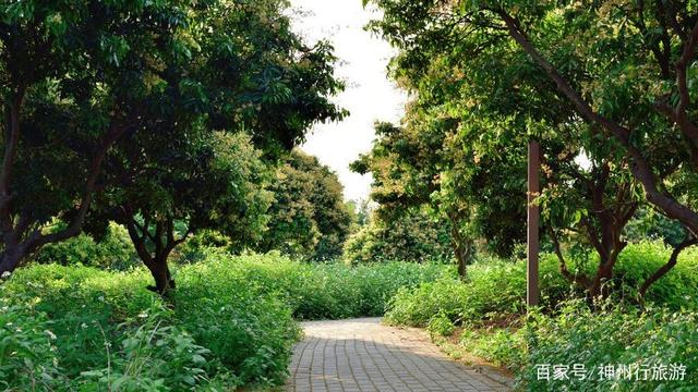 白水寨旅游攻略，增城白水寨旅游攻略（去广州白水寨森林公园）